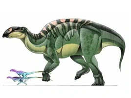 JPI Brachylophosaurus