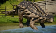 JWEPolacanthus.png (3,58 МБ) Базовый окрас
