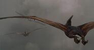 Pteranodon04