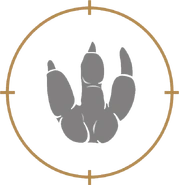 Stiggy.png (97 КБ) След стигимолоха (DPG)