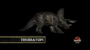 Triceratops model from Jurassic Park: The Game