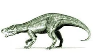 Venaticosuchus.jpg (7 KB)