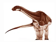 Algoasaurus