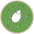 DPG - Tick.png (64 KB) Ticks