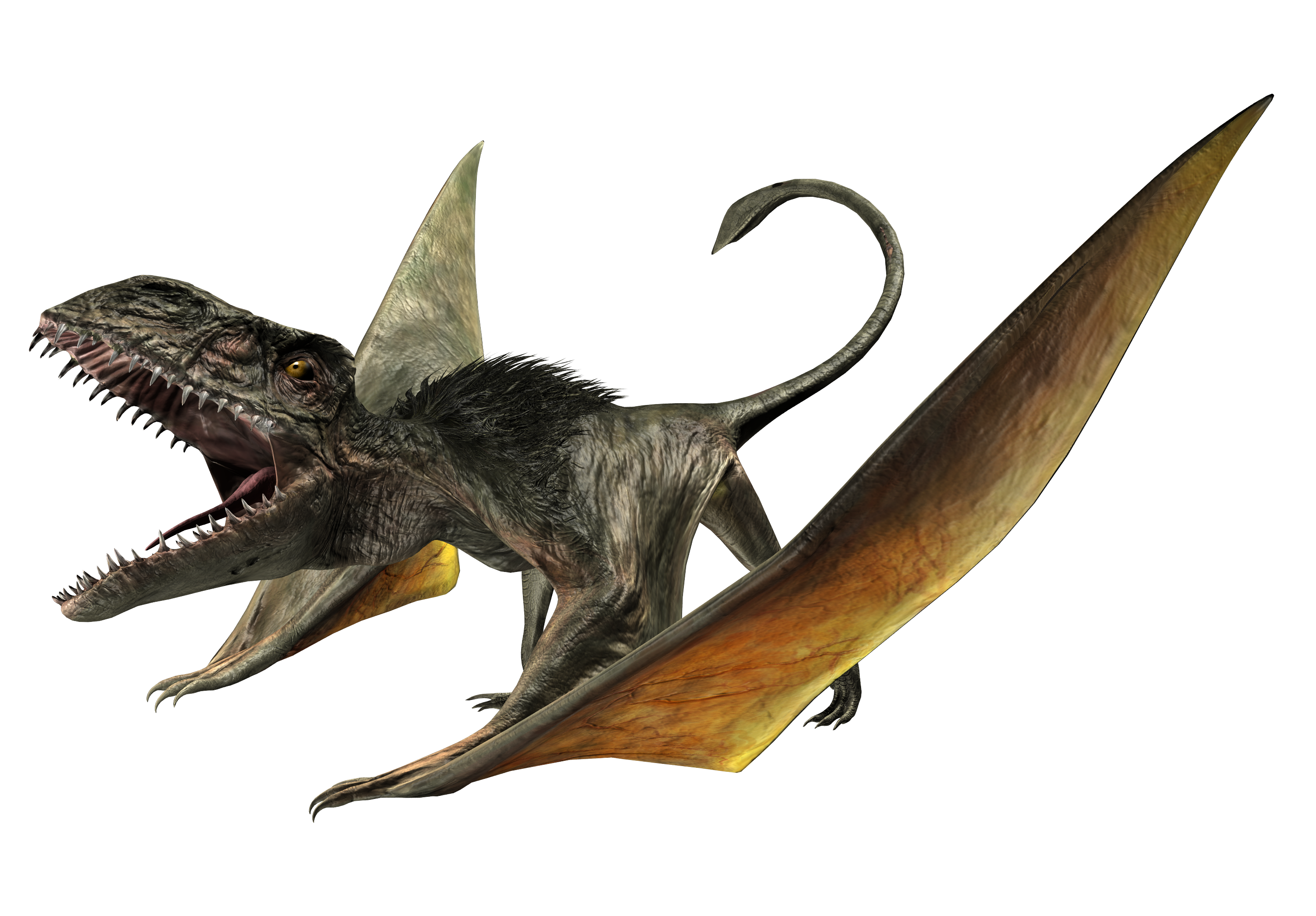 Dimorphodon, Jurassic Park Wiki