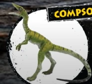 Compsognathus