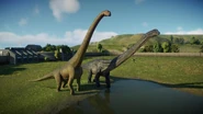 Dreadnoughtus comparaison