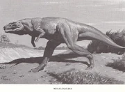 Megalosaurus XX