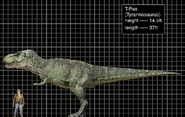 Jurassic Park III T. rex size