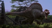 JP302004.jpg (1,22 МБ)