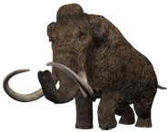 Woolly Mammoth