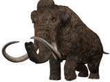 Woolly Mammoth