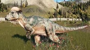 Pachycephalosaurus gameplay.jpg (11 KB)