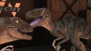 Velociraptor