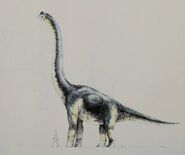 Brachiosaurus concept art