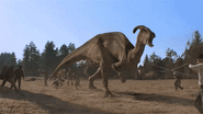 Parasaur