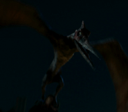 Pteranodon