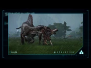 632D6E94-7D14-4C41-9582-6B0BED75C5E8.png (2.38 MB)