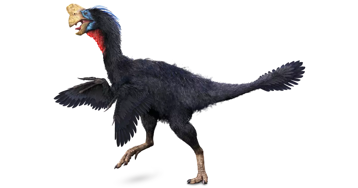 Pterosaur, Jurassic Park Wiki