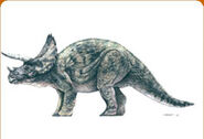 JPI Triceratops 2