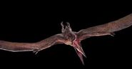 Pteranodon41674821 1861667610592178 5564567426125575726 n