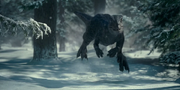 Blue in the snow extended cut