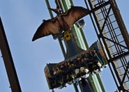 Flying Dinosaur Coaster Car.jpg (204 kB)