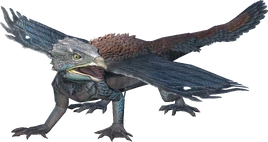 JWA PressKit Coelhaast