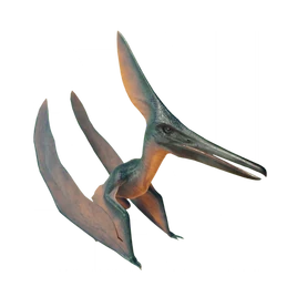 JWE2 Barbaridactylus Database