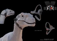 Raptor-Cams-v04 2