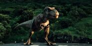 Tyrannosaurus, as she appears in Jurassic World.