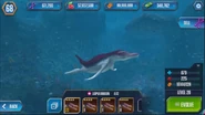 Level 20