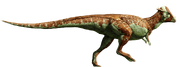 パキセファロサウルス.png