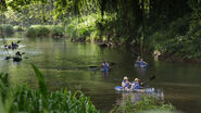 Kayakers