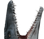 Mosasaurus-info-graphic