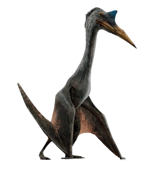 Cearadactylus, Jurassic Park Wiki