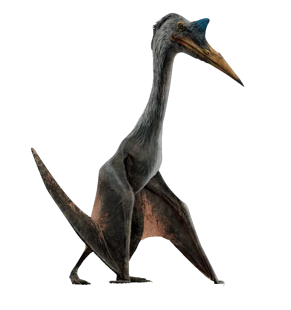 Dimorphodon, Jurassic Park Wiki