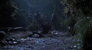 An  hunter shoots at the 