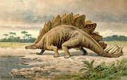 Stegosaurus real