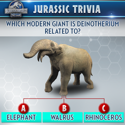 DinoDJ 🏳️‍🌈 on X: Deinotherium is such a weird animal, it's almost the  reverse of everything that would normally define an elephant   / X