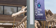 Cretaceous-cruise-banner