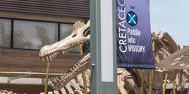 Cretaceous-cruise-banner