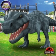 Raja JPB.png (686 КБ)