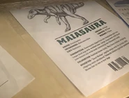 Профильмайазавра.png (513 КБ) Профайл Майазавра