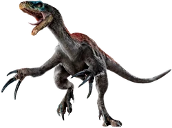 Терзиномюп3