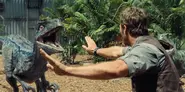 Jurassic-World-Velociraptors-5.webp (113 kio)