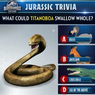 40444598 1856983377742222 8317937379750969344 n.png (397 KB)