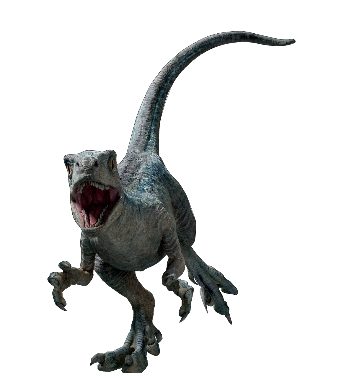 Jurassic World Dominion Blue Beta Velociraptor Realbig Officially 0506