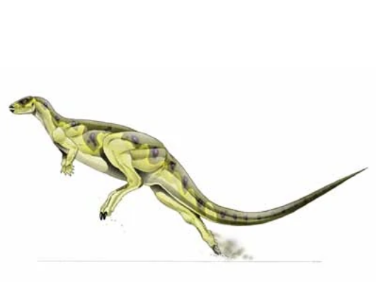 Cearadactylus, Jurassic Park Wiki