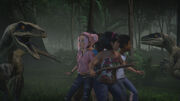 Female  raptors